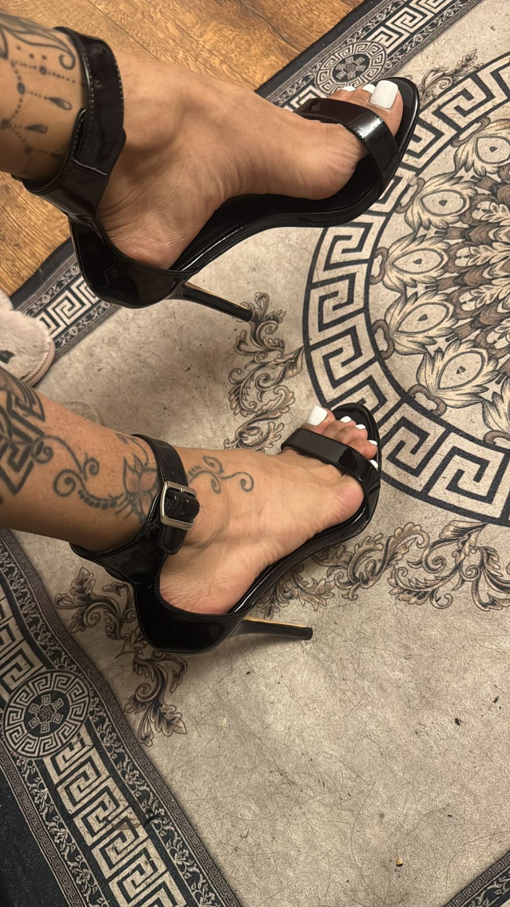 TS Aleska Diva in der Monaco Residenz